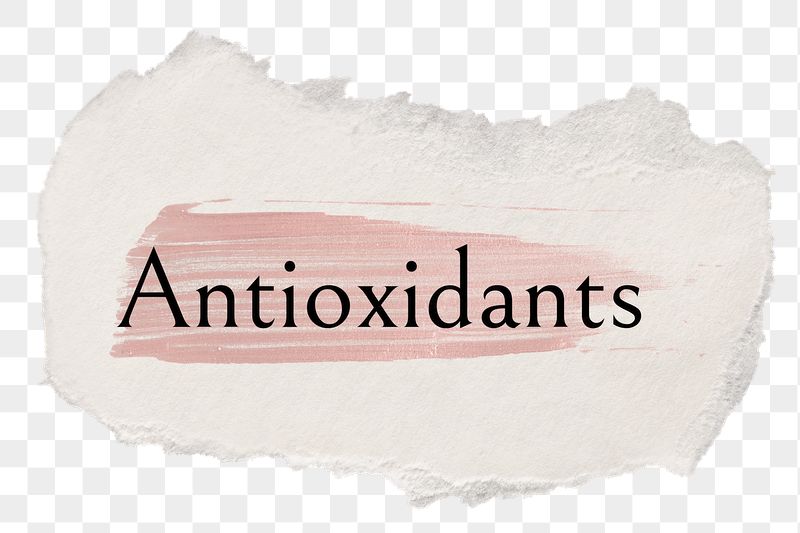Antioxidants png ripped paper word | Free PNG - rawpixel