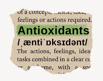 Antioxidants ripped dictionary, editable word | Free PSD - rawpixel