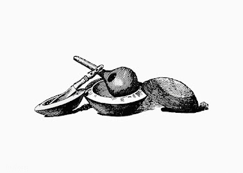 Antique kitchenware | Free stock vector - 573411