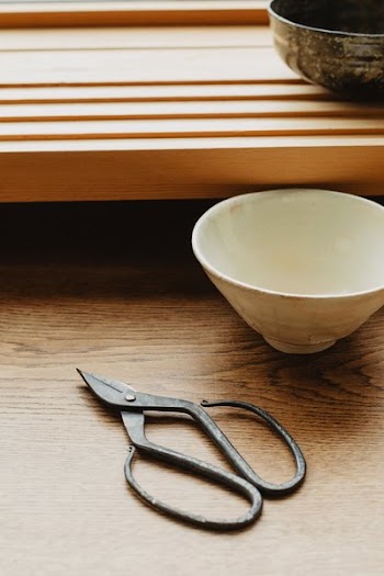 Antique Scissors By Bowls