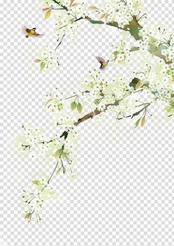 Antiquity beautiful watercolor illustration transparent background PNG clipart