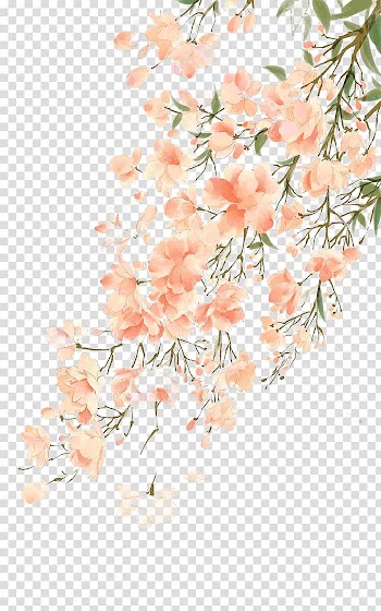 Antiquity beautiful watercolor illustration transparent background PNG clipart