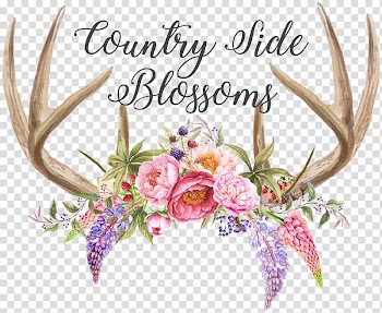 Antler Deer Horn Watercolor painting, deer transparent background PNG clipart