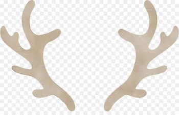 antler horn deer elk natural material