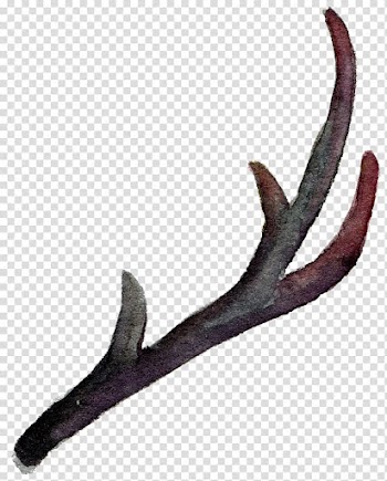 Antler Horn Watercolor painting, Leaves falling leaves element element transparent background PNG clipart