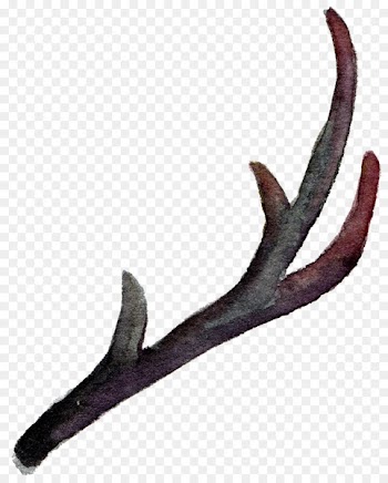 Antler Horn Watercolor painting - Leaves falling leaves element transparent element 