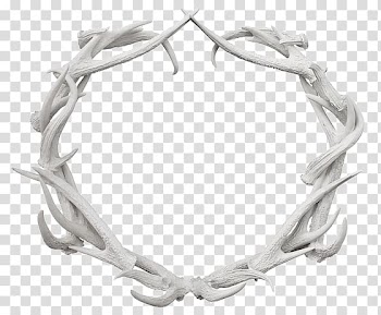 Antler Laurel wreath Deer Table, deer transparent background PNG clipart