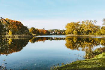 Apartment complex by the lake surrounded by forest