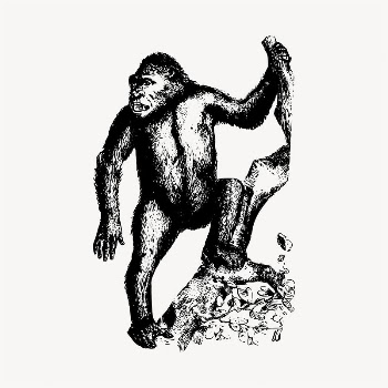 Ape illustration clipart vector. Free | Free Vector - rawpixel