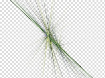 Apophysis--, green abstract transparent background PNG clipart
