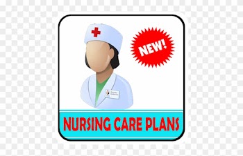 App Insights Nurse Plans - Difeel Organic Baby Powder Hand Cream 1.4 Oz