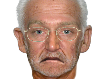 Appeal for public assistance: Suspicious behaviour, Roma | Daily ...
