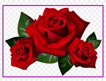 Appealing Bouquet Of Frame Clipart Kid Rose Art Image - Transparent Background Roses Transparent