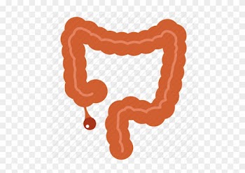 Appendicitis Is Why You Should Get Medical Card Insurance - Appendix Icons
