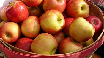 Apple Basket.jpg