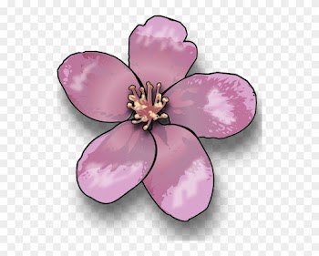 Apple Blossom Clip Art - Flower Of A Tree Clipart