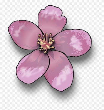 Apple Blossom - Flower Of A Tree Clipart