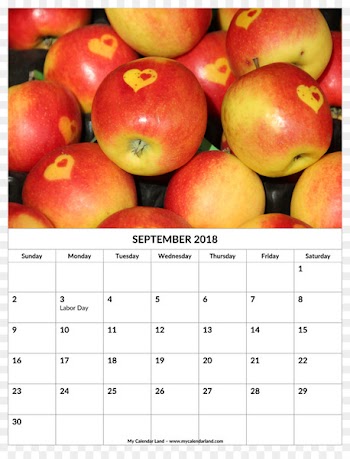 Apple cider vinegar Caramel apple Fruit - love dumplings dumplings 