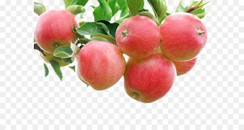 Apple Crumble Fruit Gala Auglis - Bright red apple 