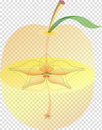 Apple Food Fruit Peach, anatomy transparent background PNG clipart