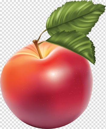 Apple Fruit , Apple Apple transparent background PNG clipart
