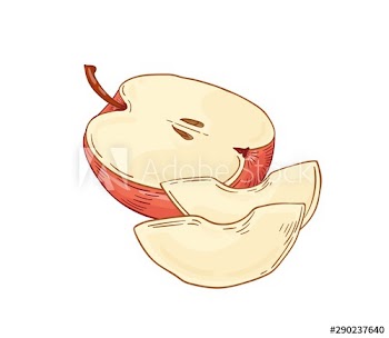 Apple fruit hand drawn vector illustration