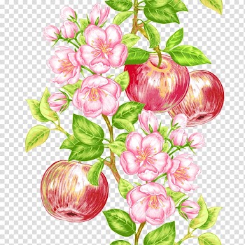 Apple Fruit tree Icon, apple transparent background PNG clipart