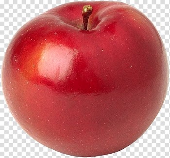 Apple Fruit tree Orchard Citrus, red plums transparent background PNG clipart