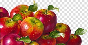 Apple fruits transparent background PNG clipart