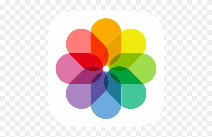 Apple, Gallery, Art, Photo, Photograph, Photography, - Ios 11 Gallery Icon Png