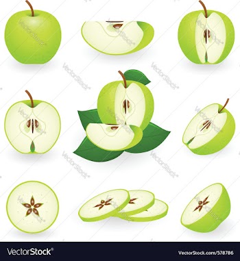 Apple icons vector image
