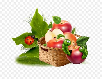 Apple juice Vegetarian cuisine Food - juice 
