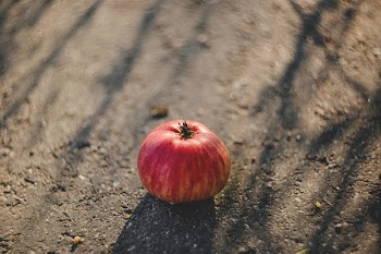 Apple on the road