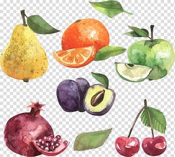 Apple, orange, cherry, fig fruit, and pear fruit digital illustration, Apple Fruit Euclidean , Watercolor Green Apple Fruit transparent background PNG clipart