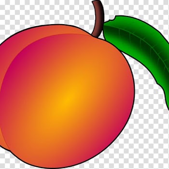 Apple Peach Apricot Fruit , apple transparent background PNG clipart