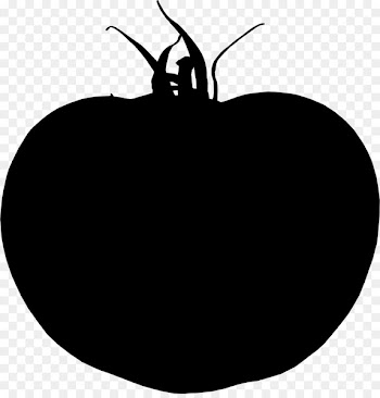 Apple Photograph Download Fruit Graphics -  