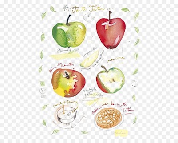 Apple pie Paper Printing Fruit Illustration - Hand-painted watercolor apple 