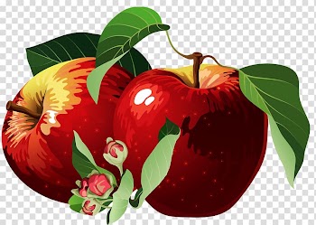 Apple Red, Hand-painted red apple transparent background PNG clipart
