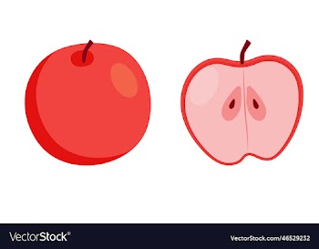 apple red whole and cut great design for any