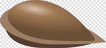 Apple Seed , seeds transparent background PNG clipart