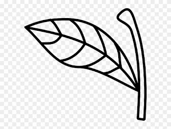 Apple Stem And Leaf