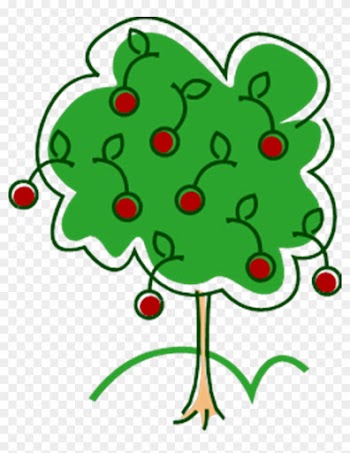 Apple Tree - George Washington Cherry Tree