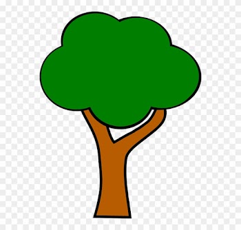 Apple Tree Without Apples