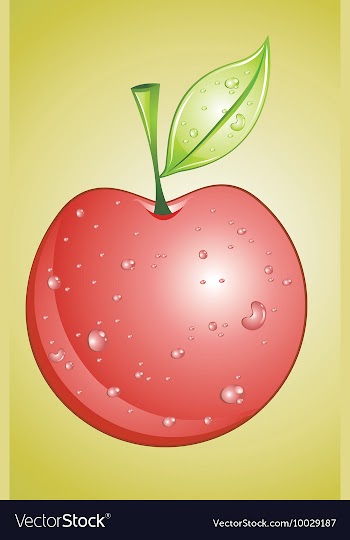 Apple vector image