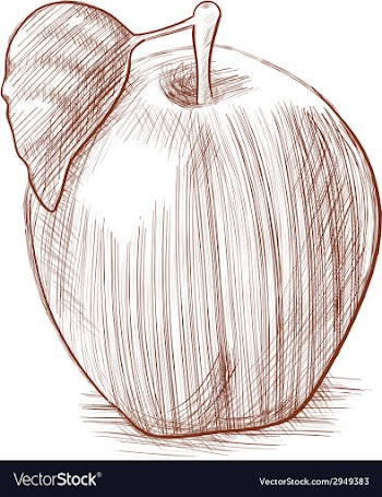 Apple vector image