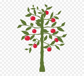 Apple - World's Fastest Indian Lemon Tree