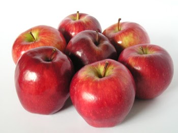 Apples__17_.JPG