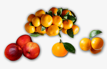 Apples And Oranges, Orange, Pile, Apple PNG Transparent Image and ...