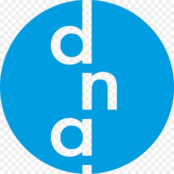 Application software Data Solutions Inc Business Translation Telecommunications - business 