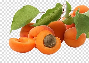 Apricot 4K resolution High-definition video Fruit , Apricots transparent background PNG clipart